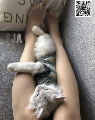 欧美精品在线第三页_BD国语高清免费观看